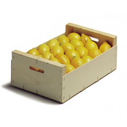 Caja De Limones 10 Kg